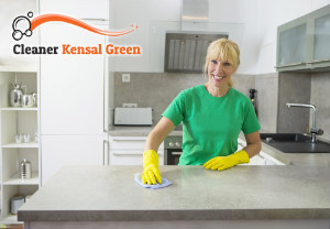 Professional Cleaning Services 