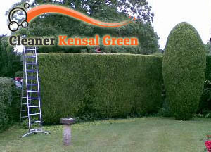 Hedge Maintenance Kensal Green