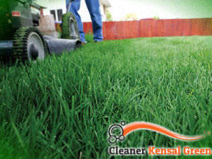 grass-cutting-services-kensal-green